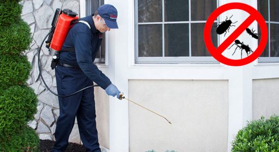 Çağlayancerit Dezenfeksiyon böcek ilaçlama ve haşere kontrolü — ilaclama-tr.com